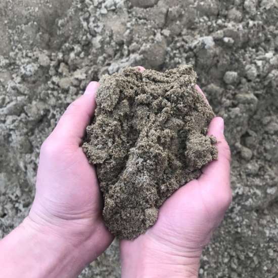Regular Sand
